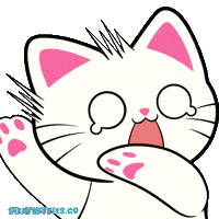 Scared Cat Memes GIF by Silly Kitties