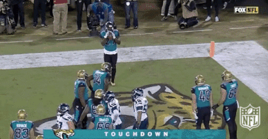 Jacksonville Jaguars Football GIF by NFL