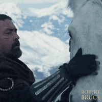 SignatureEntertainmentUK movie film movies films GIF