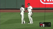 Sport Baseball GIF by MLB