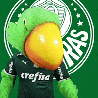 Palmeiras soccer yes cool nice GIF