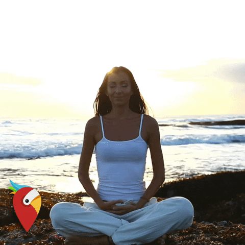 holidaypirates giphygifmaker travel adventure beautiful GIF
