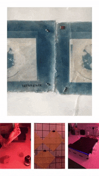 linalopes  GIF