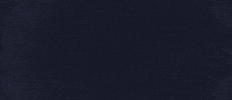 Anna_Dudko fall 2d 2d animation ukrainian GIF