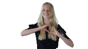 RKFotografie studio heartbeat fotografie riemke Sticker