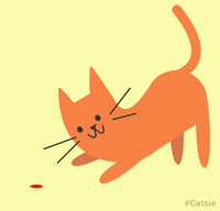 cat lol GIF by Christina Lu