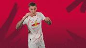 Sport Hair GIF by RB Leipzig