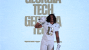 Georgia Tech Football Sport GIF by Georgia Tech Yellow Jackets