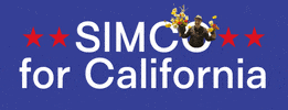 Simco GIF by Simchowitz Gallery