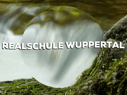 School Enjoy GIF by PrivatschulenPORTAL.de