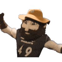 College Sports Charlotte Sticker by College Colors Day