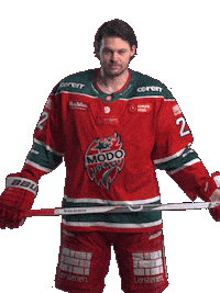 Ice Hockey Hockeyallsvenskan Sticker by MoDo Hockey