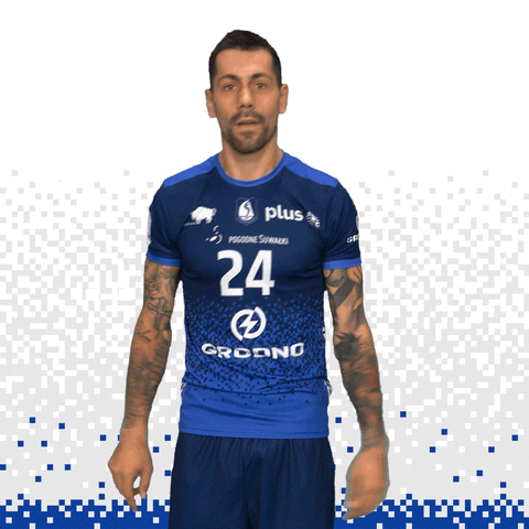slepskmalowsuwalki giphyupload sport volleyball siatkowka GIF