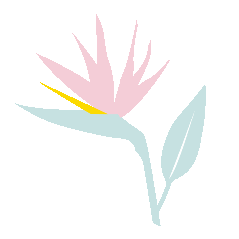 Spring Break Flower Sticker by Olive and June