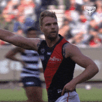 Celebrate Aussie Rules GIF by Essendon FC
