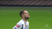 Sturm Graz GIF by SK Sturm