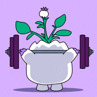 Working Out GIF by Magic Eden