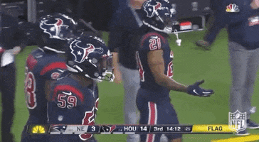 2019 Nfl Football GIF by NFL