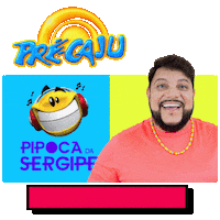Sergipe Sticker by precaju