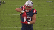 Mack Hollins Football GIF by New England Patriots