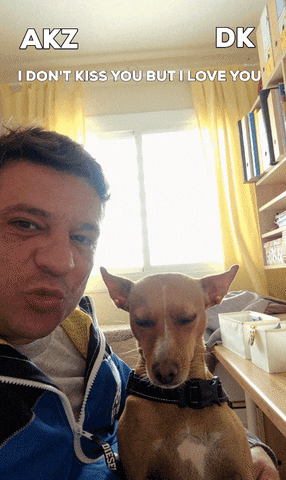 albertkorman giphygifmaker giphygifmakermobile akzdk GIF