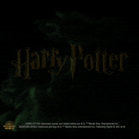 GIF by CineConcerts