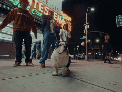 Jenny GIF by WHATMORE