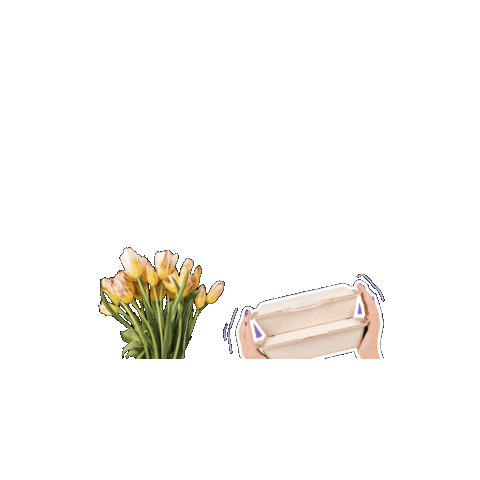 QWQEREXPRESS giphygifmaker flowers delivery parcel Sticker