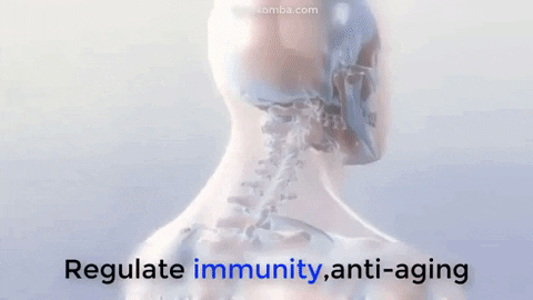 katakombastore giphygifmaker exercise skin aging GIF