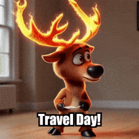 Travel Flight GIF by elkijahspark