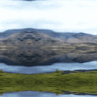 Land Of The Free Scotland GIF by TeaCosyFolk