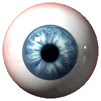 3D Spinning Sticker by NPIRE