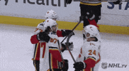 Ice Hockey Hug GIF by NHL