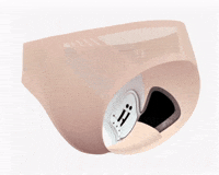 HASTKO horse innovation underwear cheval GIF