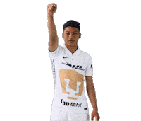 Liga Mx Soccer Sticker by Pumas MX
