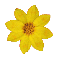 New Year Ethiopia Sticker