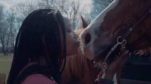 rodeo nowness picks GIF by NOWNESS