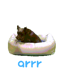아르르 Sticker by arrr_official