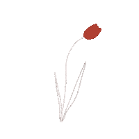 Flower Sticker