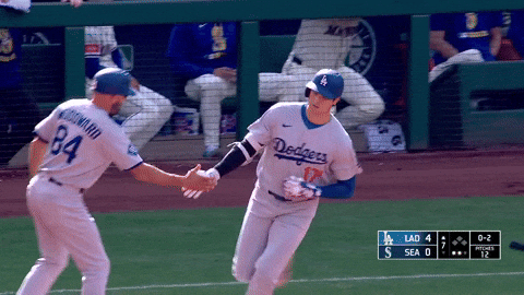 Celebrate Home Run GIF by MLB