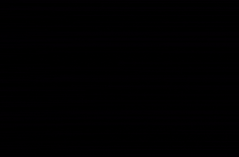 Verhage giphygifmaker snacks eten frites GIF