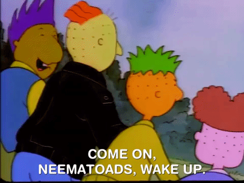 nicksplat doug GIF