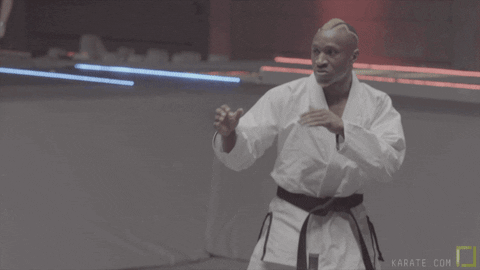 Sport GIF by Karate Combat