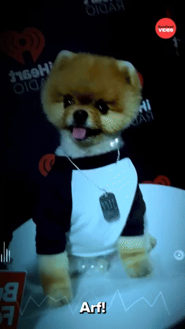Arf