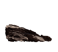 jaecoomy jaecoo jaecooj7 jaecoomalaysia Sticker