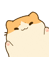 Cats Hello Sticker by Bichi Mao