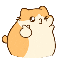 Cats Hello Sticker by Bichi Mao