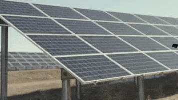 election2020 michael bennet GIF