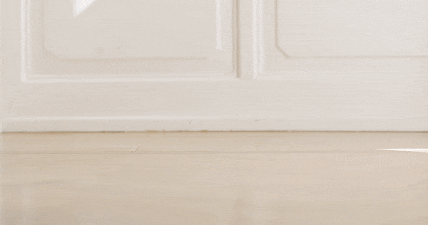 mmcompany giphyupload french bulldog creative direction mm company GIF