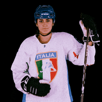 federazioneghiaccio hockey ice wintersport sportinvernali GIF